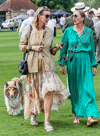 Treading in the divots at polo