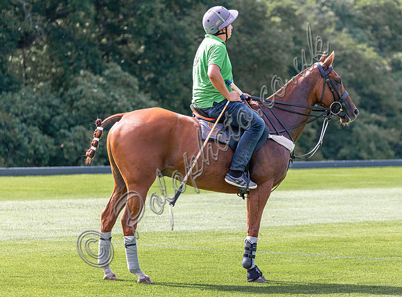 Polo action, 2022 Autumn Cup, Cowdray Park Polo Club