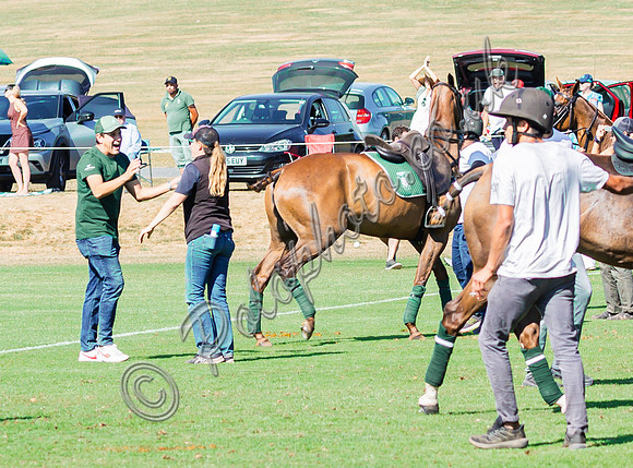 Polo action, 2025 Gold Cup quarter finals, Cowdray Park Polo Club