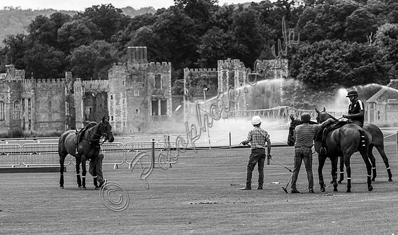 Polo action, 2024 Gold Cup, Cowdray Park Polo Club