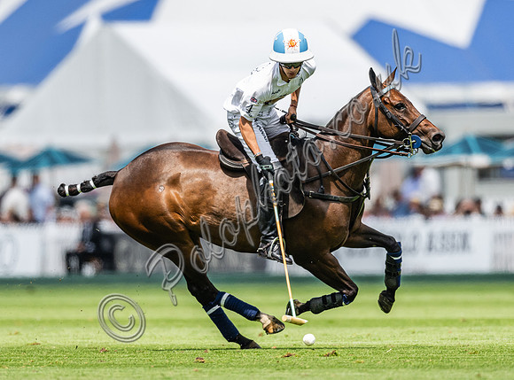 Polo Action 2024 Gold Cup, Cowdray Park Polo Club