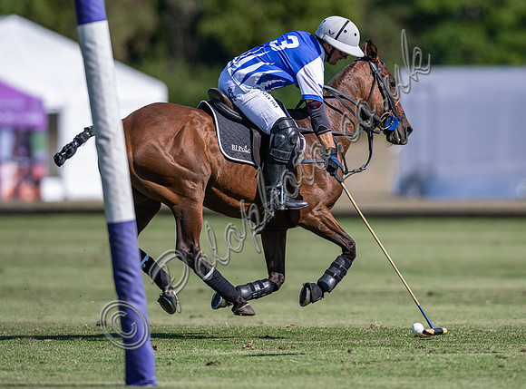 Polo action and presentation NPM Tournament 2025, Cirencester Park