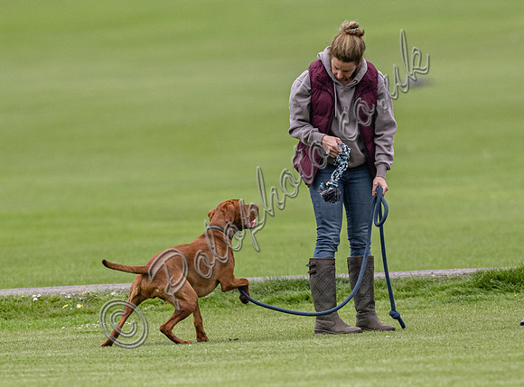Polo action, May 4 Goal Spring Cup 2022, Cowdray Park Polo Club
