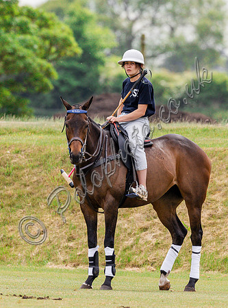 Polo groom and pony