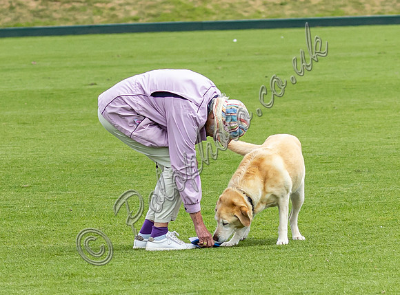Treading in the divots at polo