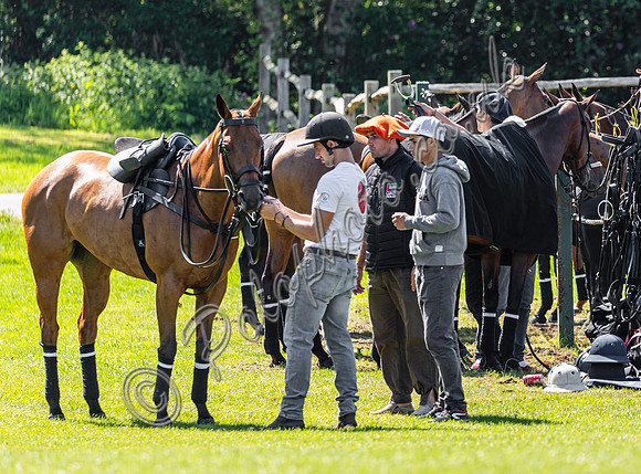 The  Trippetts Challenge Subsidiary Final and Presentation, 2024, Cowdray Park Polo Club