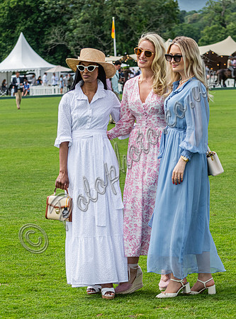 Treading in the divots at polo