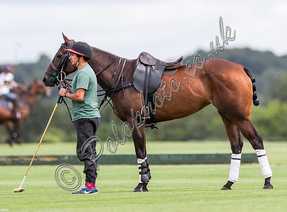 County Cup 2021 , polo action, Cirencester Park