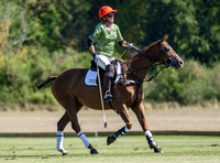 Polo action and presentation NPM Tournament 2025, Cirencester Park