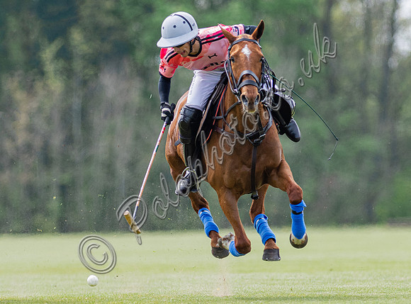 Polo action, Badminton Cup, Beaufort Polo Club