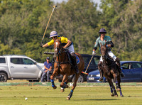 Polo action, County Cup 2025 league match, Cirencester Park