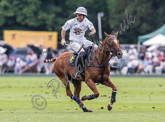 Polo Action 2024 Gold Cup, Cowdray Park Polo Club