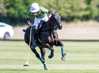 Polo action and presentation NPM Tournament 2025, Cirencester Park