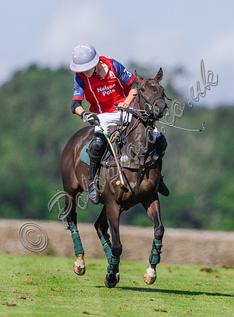 Polo action,  2024 Sidebottom Cup subsidiary, Beaufort Polo Club