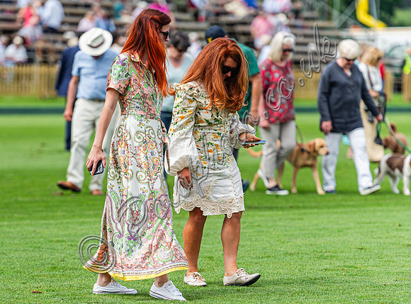 Treading in the divots at polo