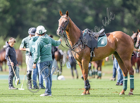 Polo action, 2024 Gold Cup, Cowdray Park Polo Club