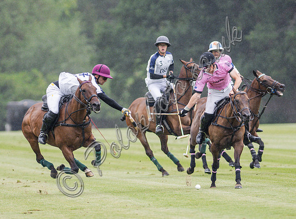 Polo action, 2025 Gold Cup, Cowdray Park Polo Club