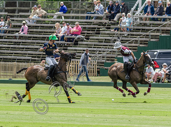 Polo action, 2025 Gold Cup, Cowdray Park Polo Club
