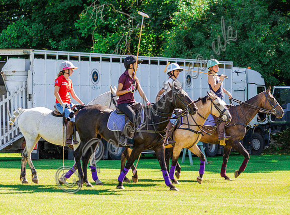 OKL Equestrian - Olivia Lamphee
