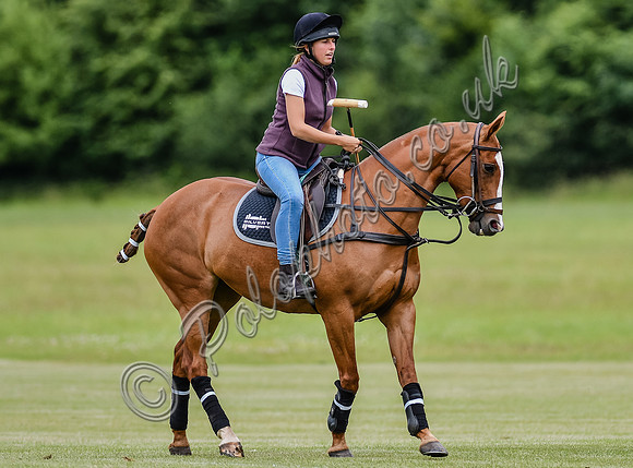 polo action for the Corinium Bowl, Cirencester Park