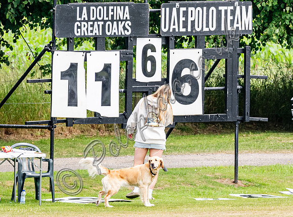 Polo action, 2024 Gold Cup, Cowdray Park Polo Club