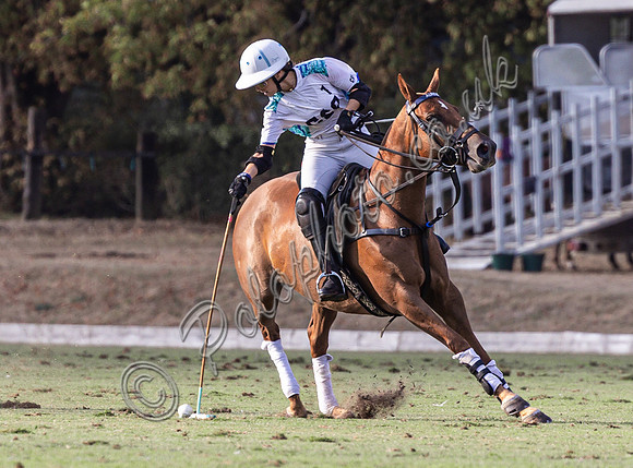 Polo action and presentation, Wichenford Bowl subsidiary final 2025, Beaufort Polo Club