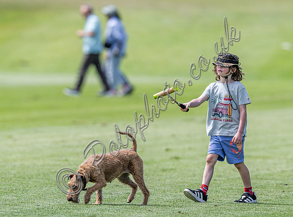 Polo action, 2024, Cowdray Park Polo Club