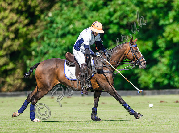 Polo action,  2024 Sidebottom Cup subsidiary, Beaufort Polo Club