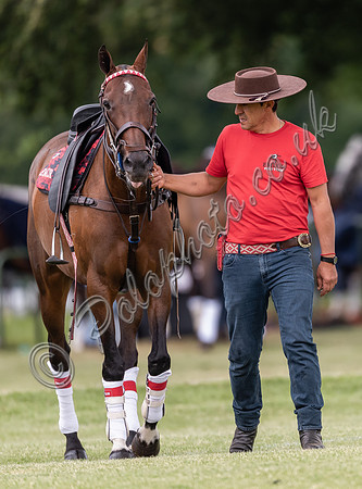 Polo action, Warwickshire Cup Final, Cirencester Park