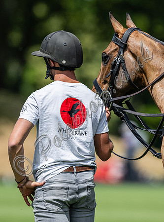 Polo action, 2024, Cowdray Park Polo Club