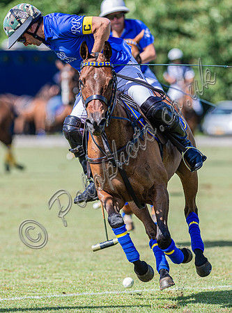 Polo action, Arthur Lucas Cup 2025, Beaufort Polo Club
