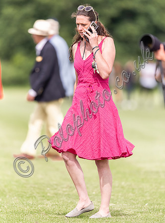 Polo action, Warwickshire Cup Final, Cirencester Park