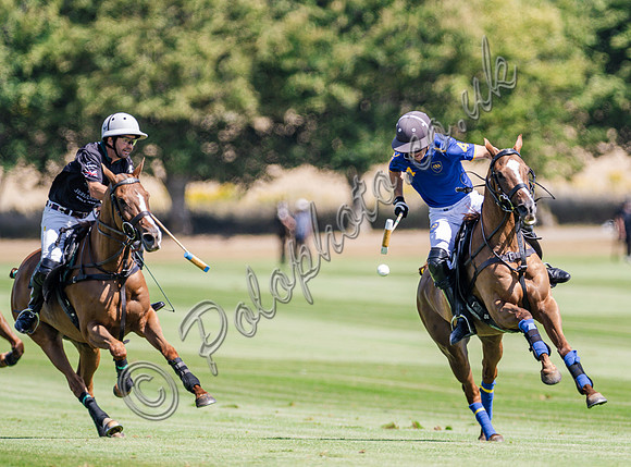 Polo action, 2025 Gold Cup, Cowdray Park Polo Club