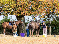 Polo action and presentation, Wichenford Bowl 2025, Beaufort Polo Club