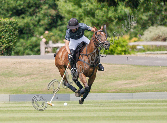 Polo action, 2025 Gold Cup, Cowdray Park Polo Club