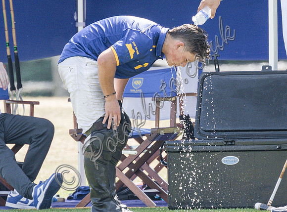 olo action, 2025 Gold Cup, Cowdray Park Polo Club