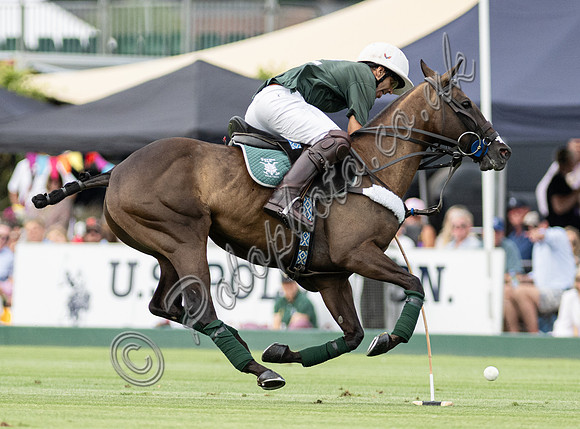 Polo action, 2025 Gold Cupsemi-final, Cowdray Park Polo Club
