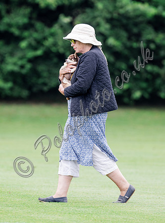 Polo action, 2025 Gold Cup, Cowdray Park Polo Club