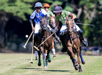 Polo action and presentation NPM Tournament 2025, Cirencester Park