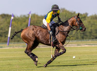 Polo action, County Cup 2025 league match, Cirencester Park