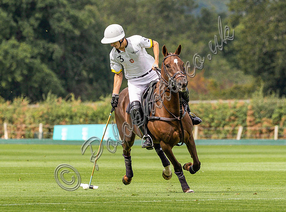 Autumn Cup 2022 at  Cowdray Park, Weybourne v Dubai