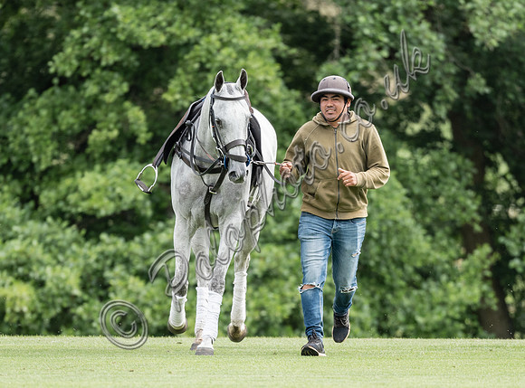 polo grooms and ponies