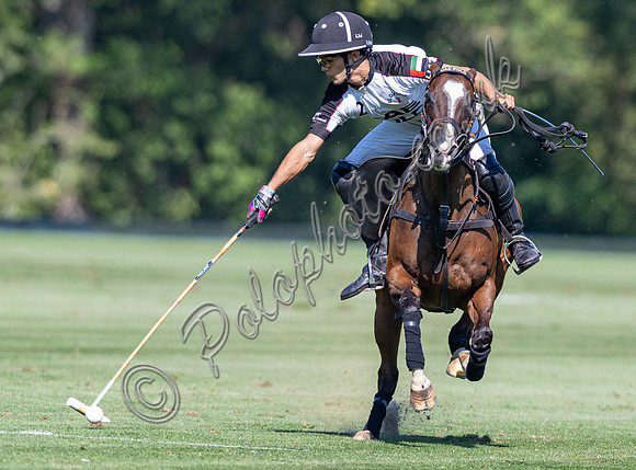 Polo action, 2025 Gold Cup quarter finals, Cowdray Park Polo Club