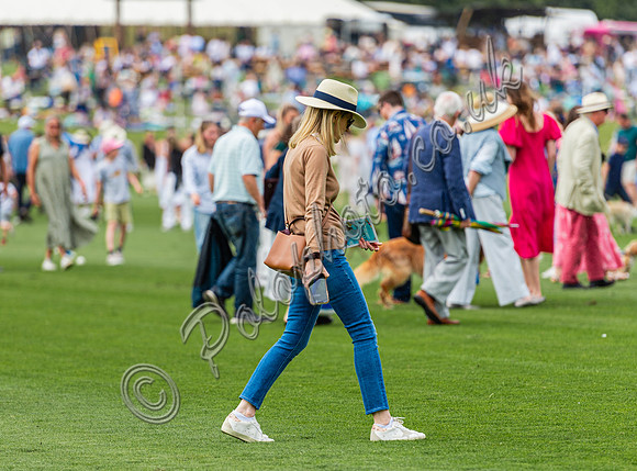 Polo action, 2024, Cowdray Park Polo Club