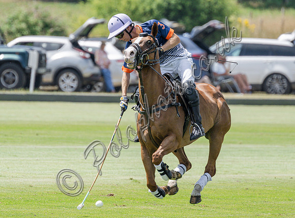 olo action, 2025 Gold Cup, Cowdray Park Polo Club