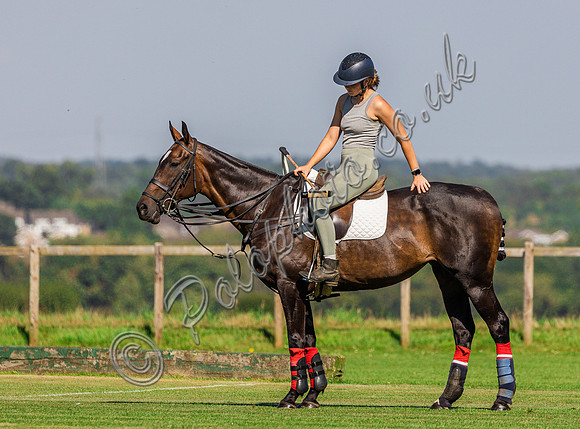 Polo action, ??? Cup, Cirencester Park