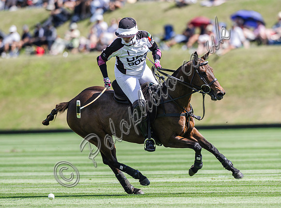 Polo action, 2025 Gold Cup quarter finals, Cowdray Park Polo Club
