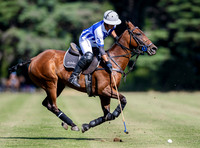 Polo action and presentation NPM Tournament 2025, Cirencester Park
