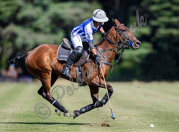 Polo action and presentation NPM Tournament 2025, Cirencester Park
