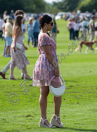 Treading the divots at polo